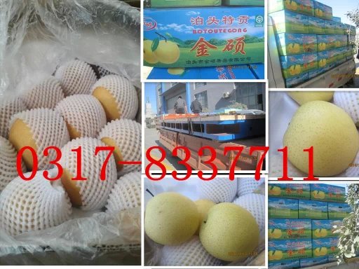 ɽ|͑ӆTFƽ_(ti)100䲴^b܇l(f)؛